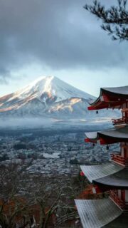 Desde @birratoures y @sivola.es buscamos embajadores, creadores de contenido que deseen viajar a #Japón y puedan contar como es la experiencia de viajar en grupo.
Si eres creador de contenido, comparte en historias el post carrusel de SiVola que encontrarás en nuestro perfil etiquetando a @sivola.es y @birratoures y escribe un pequeño texto que inspire, motive y evoque el sentido y significado de viajar. ¿Qué significa para ti viajar? Haz que tus palabras lleguen al 💙.
Esto no va de quien tiene más seguidores. Valoramos la autenticidad de su contenido, la inspiración que provoque, el apoyo de su comunidad, sus valores, originalidad o pasión por los viajes.
Podéis participar hasta el día 16 de febrero a las 23:59h. Elegiremos a uno de los creadores de contenido que haya participado correctamente al sorteo y el ganador/a disfrutará de…
🇯🇵¡Un VIAJE a JAPÓN de 14 días con vuelos incluidos! 🇯🇵
¡Mucha suerte a todos!
#creadoresdecontenido #HeymondoBirratour