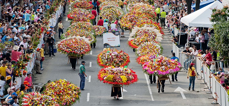 Medellín quiere llenar tu verano de flores